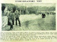 Ilica 1917. godine.  Domobranski vrt